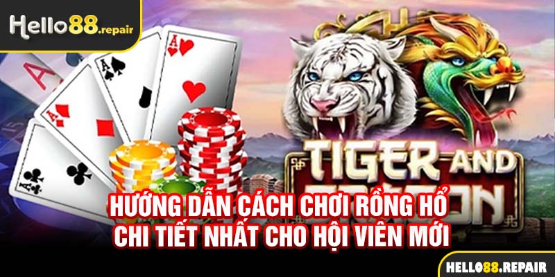 Hướng dẫn cách chơi Rồng Hổ chi tiết nhất cho hội viên mới