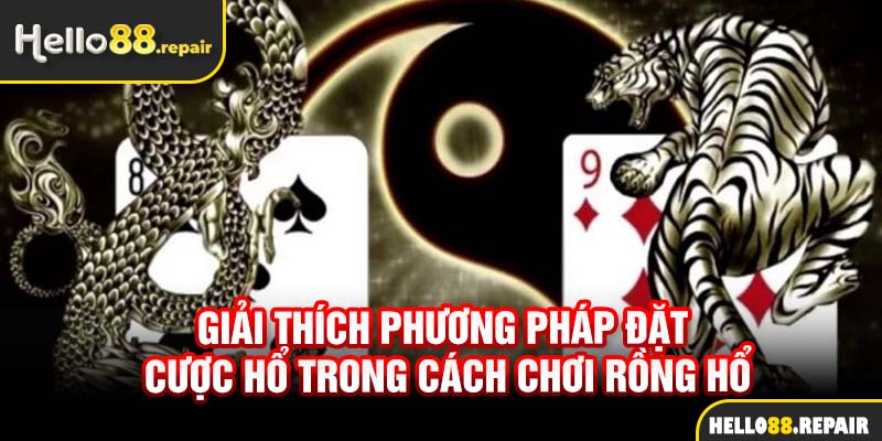 Giải thích phương pháp đặt cược hổ trong cách chơi Rồng Hổ